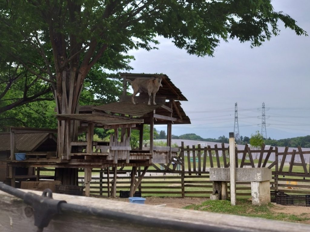 58ロハスクラブ