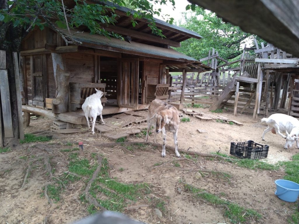 58ロハスクラブ