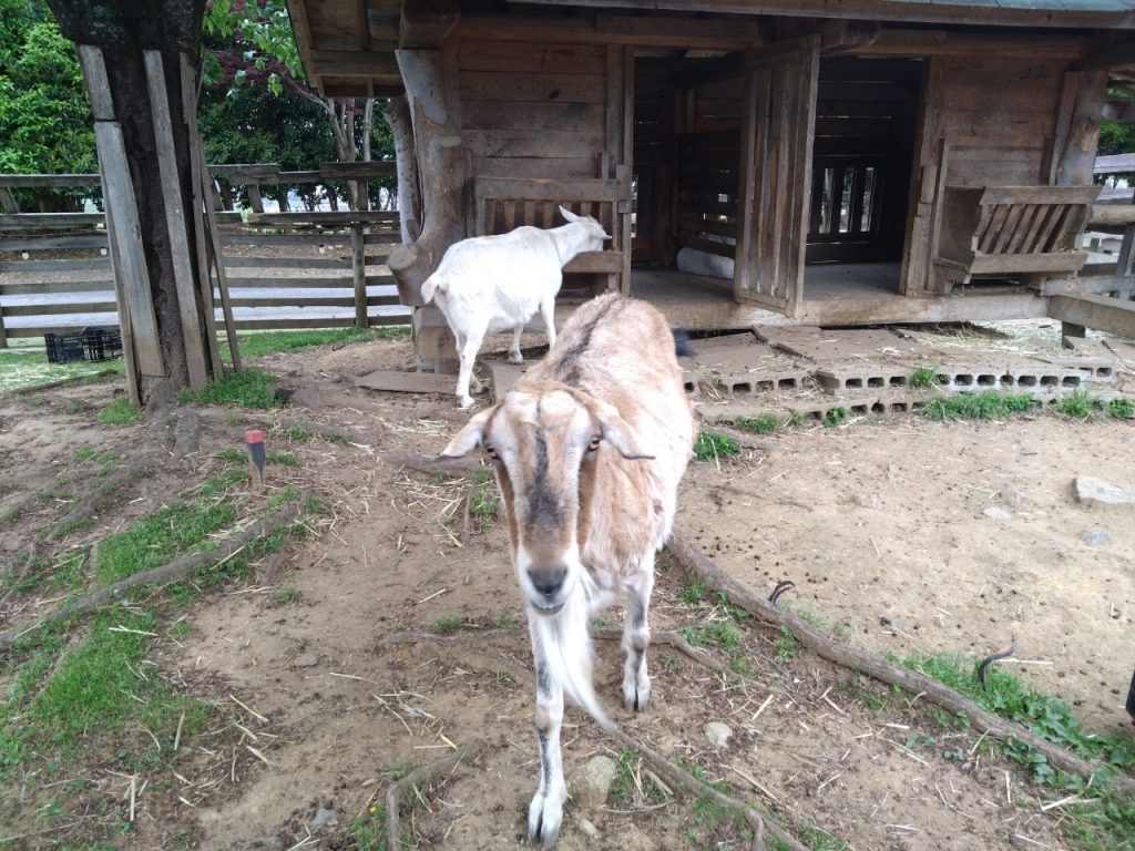 58ロハスクラブ