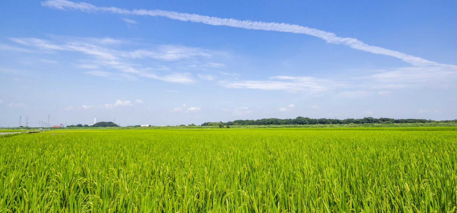 お知らせブログ